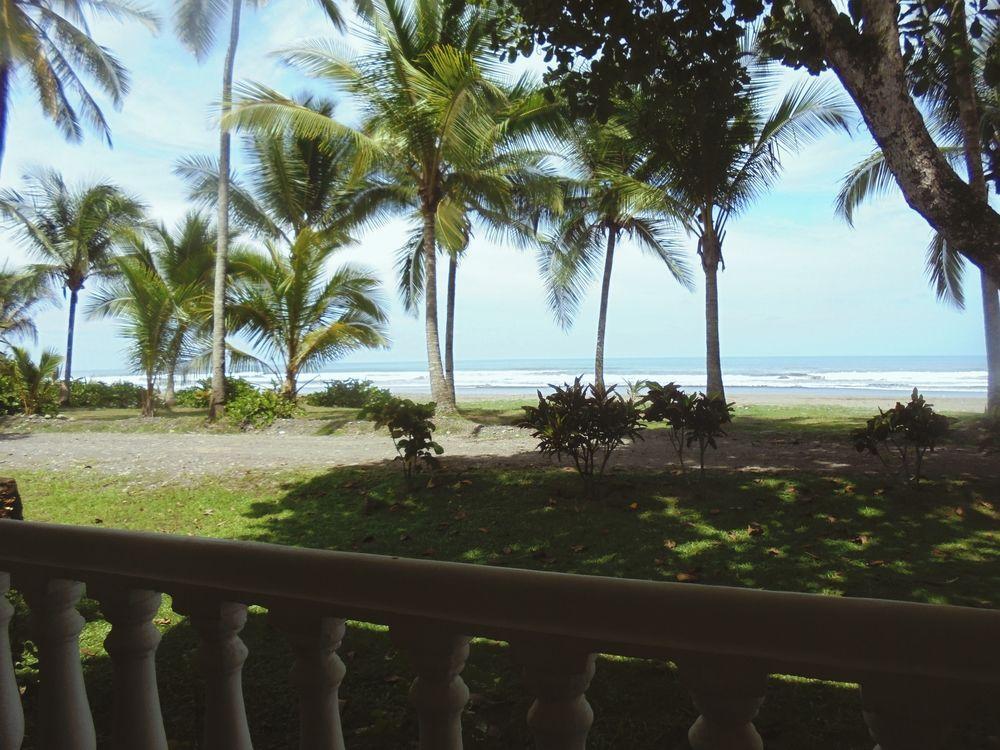 Delfin Beach Front Resort Esterillos Eksteriør billede